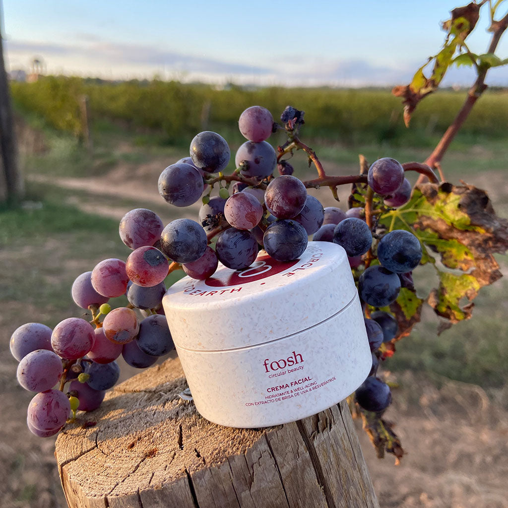 Nuestra razón de ser: economía circular